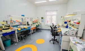 Лаборатория в стоматологическом центре "Авидент" во Фрязино